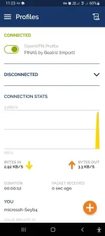 Screenshot_20220804-112307_OpenVPN Connect.webp