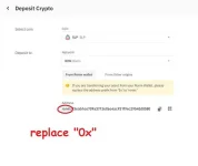 replace ronin 0x.webp replace ronin 0x.webp