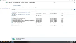 windows update.webp