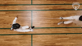 200.gif