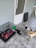 FB_IMG_1659781340579.webp