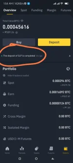 Screenshot_2022-08-08-01-54-47-492_com.binance.dev-edit.webp