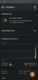 Screenshot_2022-08-08-07-22-58-991_net.openvpn.openvpn.webp