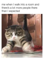 introvert.webp