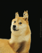 200.gif