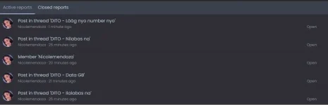 report.webp