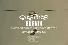 burnik.webp