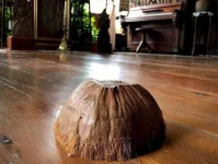 images (6).webp