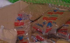 sugar_CNNPH.webp sugar_CNNPH.webp