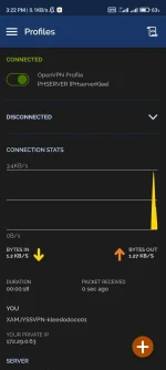 Screenshot_2022-08-11-15-22-07-054_net.openvpn.openvpn.webp