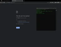 1660261499890.webp