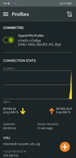 Screenshot_2022-08-13-06-50-10-595_net.openvpn.openvpn.webp Screenshot_2022-08-13-06-50-10-595_net.openvpn.openvpn.webp