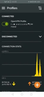 Screenshot_20220815_160030_net.openvpn.openvpn.webp