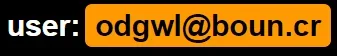 4.webp