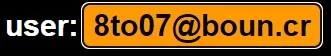 5.webp