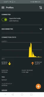 Screenshot_20220817_082420_net.openvpn.openvpn.webp