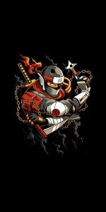 Ninja_7820.webp