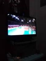 16610838539012101408470048892954.webp 16610838539012101408470048892954.webp