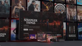 43e0db2f-fea0-4308-bfb9-09f2a88f6ee4_what_is_netflix_1_en.webp 43e0db2f-fea0-4308-bfb9-09f2a88f6ee4_what_is_netflix_1_en.webp