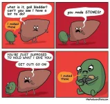 42a5c67ed1dd5e01d560048b5b146acc--gall-stones-kidney-stones.webp