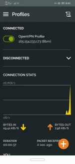 Screenshot_20220823_084508_net.openvpn.openvpn.webp