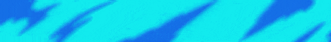 standard.gif