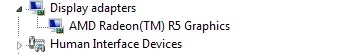 Capture.webp