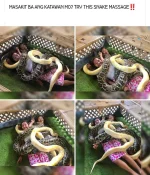 IMG_20220827_103758.webp