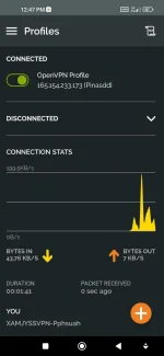 Screenshot_2022-08-27-12-47-16-650_net.openvpn.openvpn.webp