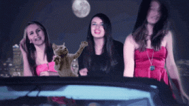 200.gif 200.gif