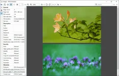 pdf24-creator-screenshot-05.webp