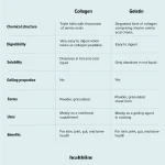572432-Should-You-Choose-Collagen-or-Gelatin_Infographic-1296x1296.webp