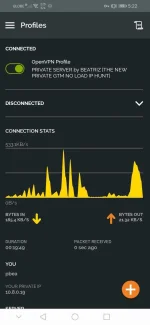 Screenshot_20220828_172226_net.openvpn.openvpn.webp
