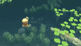 crocChase.gif crocChase.gif