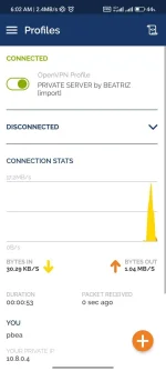 Screenshot_2022-08-29-06-02-39-586_net.openvpn.openvpn.webp