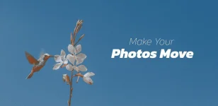 1661765303916.webp 1661765303916.webp