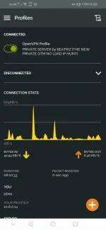 Screenshot_20220829_215043_net.openvpn.openvpn.webp
