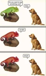 1661785617871.webp