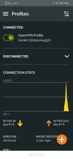 Screenshot_20220830_140600_net.openvpn.openvpn.webp