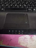 16619327430382991078629288233405.webp