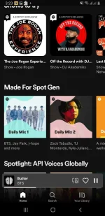Screenshot_20220901-032325_Spotify.webp