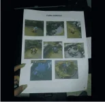 1661989182047.webp