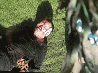 200.gif