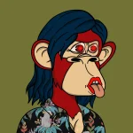 3.webp