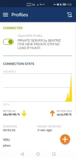 Screenshot_20220902_092310_net.openvpn.openvpn.webp