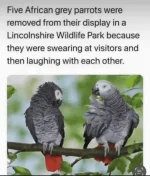 1662173824485.webp