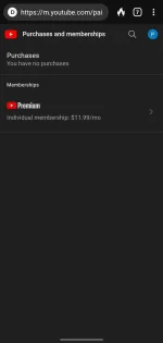 Screenshot_20220904-003150_DuckDuckGo.webp