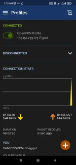 Screenshot_2022-09-04-07-13-45-489_net.openvpn.openvpn.webp
