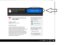 Untitled.webp