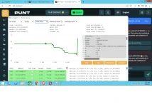punt2.webp